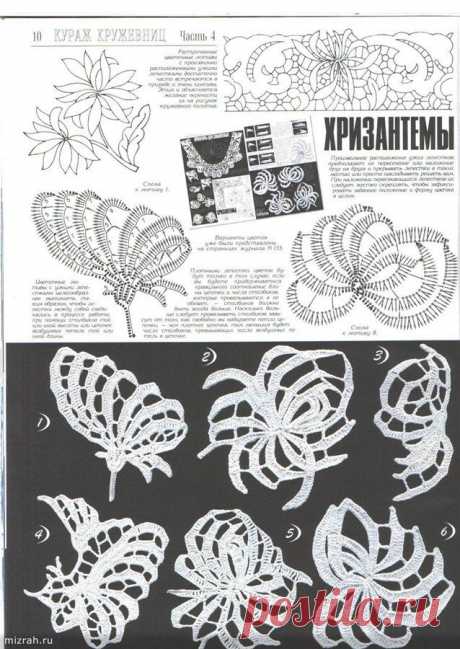 Ирландское кружево. Хризантемы