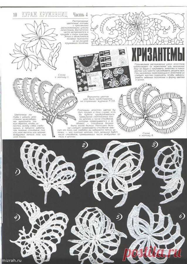 Ирландское кружево. Хризантемы