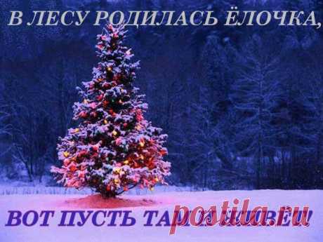 ЕЛЬ - это дерево, которое живёт сотни лет, принося всей планете огромную пользу. 
Каждое дерево живое и тоже чувствует боль. 

В новогодние праздники происходит абсолютно бестолковая вырубка леса! 
Праздник пройдет, а ёлочке лет 10 расти нужно! 
Воздержись от покупки живой елки - береги приРОДу! 

А еще лучше посадить ель у себя во дворе, ухаживать и наряжать ее каждый год дружно всем двором!