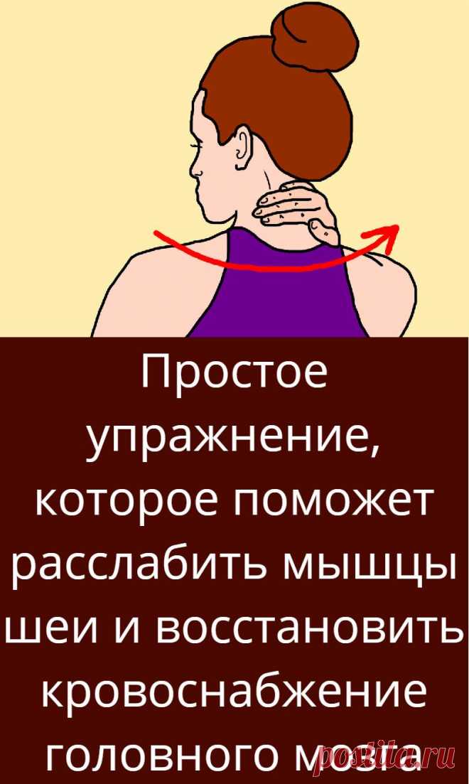 Простое упражнение, которое поможет расслабить мышцы шеи и восстановить кровоснабжение головного мозга