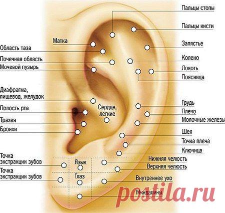 Женский клуб "Каблучок" | ВКонтакте