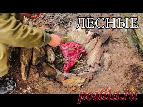 Дикая кухня: мясо и рыба на рожне