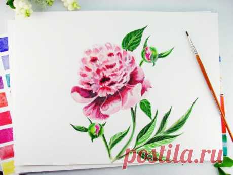 Пион акварелью — Сделай сам, идеи для творчества - DIY Ideas