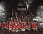 «Прежде, чем они исчезнут»: фотографии последних племён, сохранившихся на Земле. Фотограф Джимми Нельсон.