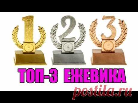 Итоги сезона 2019. Топ-3 сортов ежевики