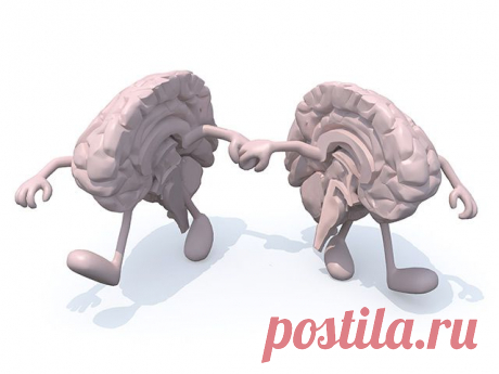 КАК ЗАСТАВИТЬ РАБОТАТЬ ОБЕ ПОЛОВИНЫ МОЗГА....