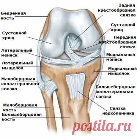 Артроскопия коленного сустава — что это такое?