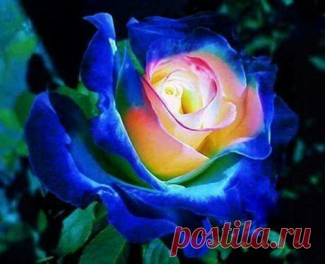3b554ee1d03bbd4e0df6e83be1d8f6ad.jpg (508×414)