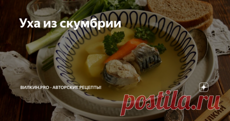Уха из скумбрии Легкая, прозрачная, с аппетитным рыбным ароматом уха из скумбрии — блюдо для повседневного рациона, которое, благодаря супермаркетам, доступно круглый год и не зависит от сезона рыбалки. Перед подачей, разливая по порционным тарелкам, рекомендую юшку процедить, избавиться от косточек и разваренной луковицы, а для детей дополнительно отделить и нежное филе.