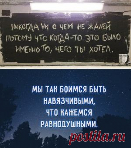 Никогда ни о чем не жалей