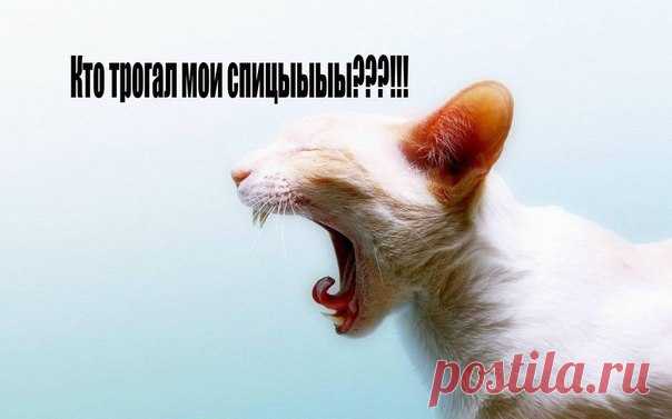Кто спал на моей кровати, кто трогал мои спицы?