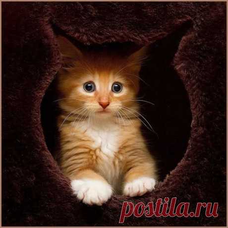 Популярное | Postila.ru