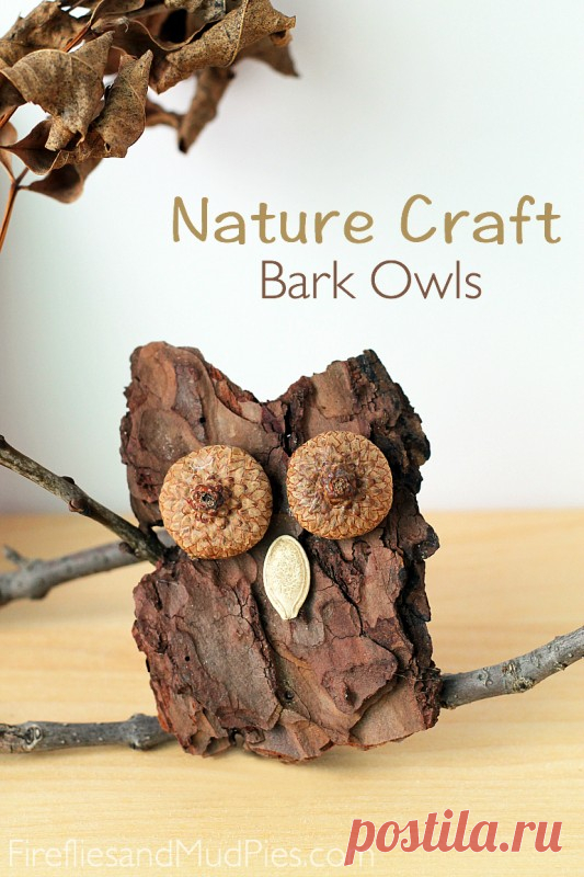 20+ Nature Crafts for Kids » Dragonfly Designs
