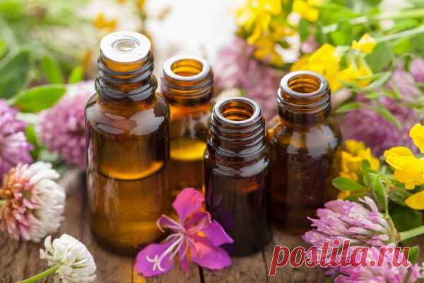 10 эфирных масел, которые помогут вернуть хорошее самочувствие...