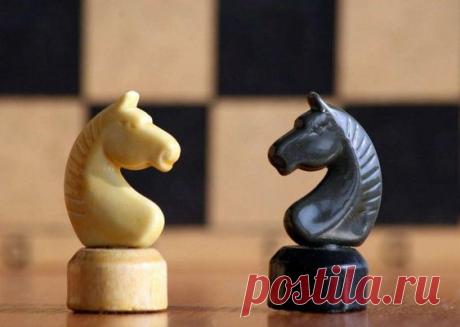 Как надолго сохранить ясность ума: несколько простых советов (Фото) - Новости здоровья - Простые советы, которые помогают противостоять неблагоприятным аспектам окружающей среды - Новости Телеграф - Страница 6