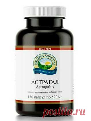 Астрагал/ Astragalus
•	Защищает от вирусных инфекций, укрепляет иммунную систему 
•	Снижает проявления хронической усталости
•	Облегчает симптомы сезонной аллергии
•	Улучшает функцию сердца, расширяет сосуды 
•	Улучшает функцию почек, снижает риск развития нефротического синдрома
•	Снижает и контролирует уровень сахара крови при сахарном диабете 2 типа
•	Снижает негативные эффекты химиотерапии и риски инфекций у пациентов со злокачественными образованиями
•	Замедляет клеточное старение
