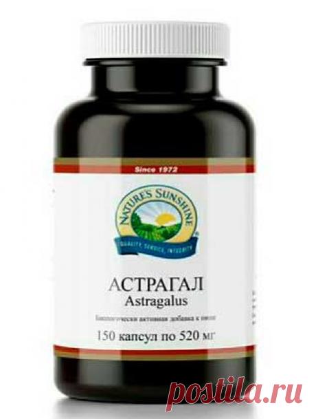 Астрагал/ Astragalus
•	Защищает от вирусных инфекций, укрепляет иммунную систему 
•	Снижает проявления хронической усталости
•	Облегчает симптомы сезонной аллергии
•	Улучшает функцию сердца, расширяет сосуды 
•	Улучшает функцию почек, снижает риск развития нефротического синдрома
•	Снижает и контролирует уровень сахара крови при сахарном диабете 2 типа
•	Снижает негативные эффекты химиотерапии и риски инфекций у пациентов со злокачественными образованиями
•	Замедляет клеточное старение