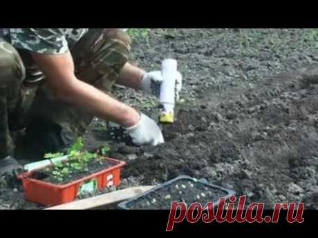 Ручная машинка для высадки рассады в открытый грунт
