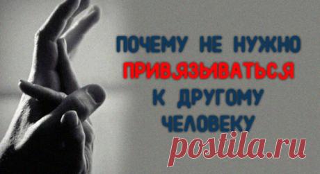 ПОЧЕМУ НЕ НУЖНО ПРИВЯЗЫВАТЬСЯ К ДРУГОМУ ЧЕЛОВЕКУ
По статистике, большая часть “любовных отношений” довольно быстро превращается в отношения типа “любовь-ненависть”. Тогда любовь может сменить личину и обернуться для тебя жестоким нападением, чувством враждебности к тебе, или внезапным и полным отказом тебе в любви. Причем это считается нормальным. Потом на протяжении нескольких месяцев или...
Читай пост далее на сайте. Жми ⏫ссылку выше