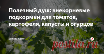 Полезный душ: внекорневые подкормки для томатов, картофеля, капусты и огурцов В начале лета все овощные культуры начинают быстро развиваться и особенно нуждаются в разнообразных корневых и внекорневых подкормках. Многие огородники уверены, что эффект от последних наступает значительно быстрее, чем от тех, которые выполняются под корень.
Питательный душ нужен растениям постоянно: важно проводить опрыскивания регулярно. Причем, для каждой овощной культуры или группы овощей –