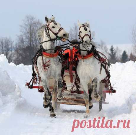 larisa-gorbunowa2012 — «***» на Яндекс.Фотках