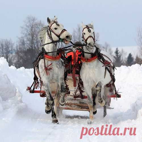 larisa-gorbunowa2012 — «***» на Яндекс.Фотках