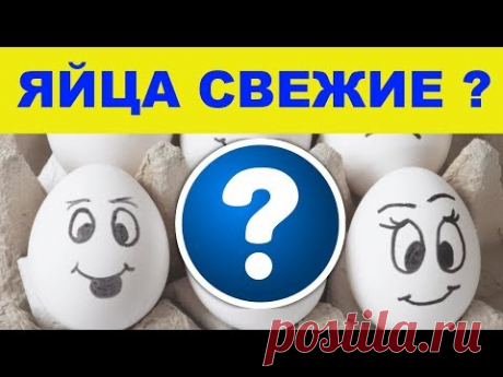 Как проверить яйца на свежесть. Кулинарный лайфхак для хорошей хозяйки! - YouTube