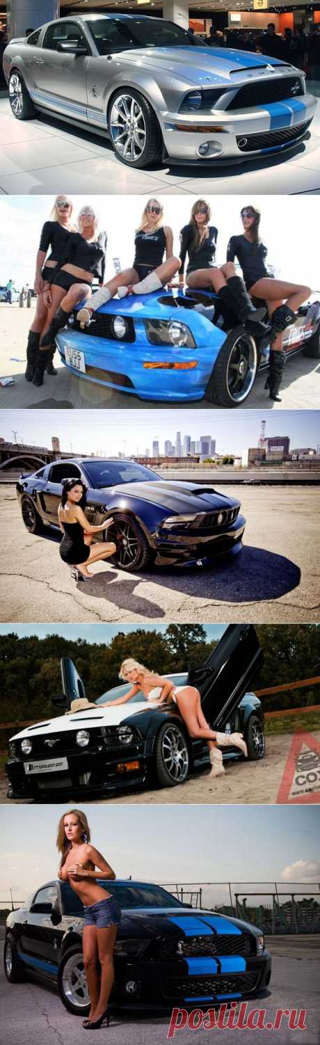 Спорткар Ford Shelby GT500 с девушками (20 фото + видео) | Отзывы и полезная информация &quot;Кнопкастарта&quot;