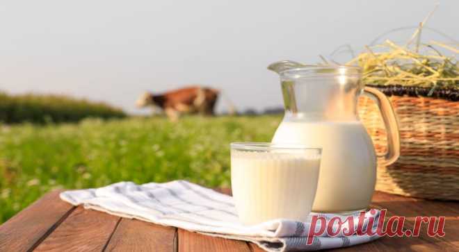 Под запретом: три неожиданных продукта, которые повышают холестерин. Питание играет ключевую роль в поддержании здоровья сердца. Для правильной работы сердечно-сосудистой системы диетолог Джесси Федер советует обогатить рацион антиоксидантами и ограничить потребление ...