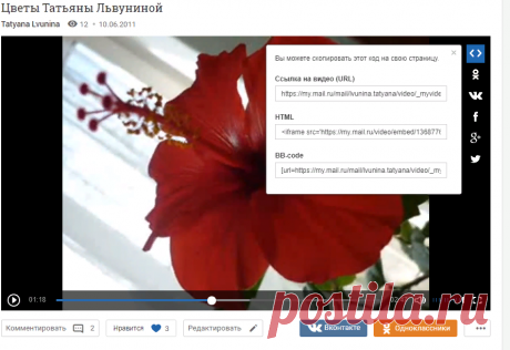 Цветы Татьяны Львуниной – смотреть видео онлайн в Моем Мире | Tatyana Lvunina