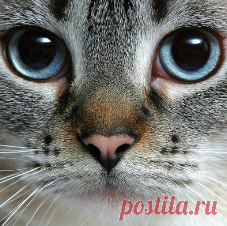 Доброе утро!