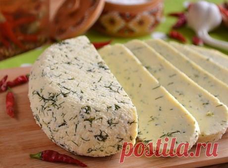 ОБАЛДЕННЫЙ СЫР В ДОМАШНИХ УСЛОВИЯХ 

Всё очень просто - вкуснее чем магазинный

Ингредиенты:

● Молоко — 1 Литр
● Сметана 20% — 200 Грамм
● Яйцо — 3 Штуки
● Соль — 1 Чайная ложка (без горки)
● Укроп — 1 Ст. ложка (мелко порезанного)

Приготовление:

1. Подготовьте продукты. Укроп тщательно вымойте, отделите от веточек крупных и мелко порежьте. Приступим.
2. Возьмите удобную для смешивания тару и венчик или миксер. Разбейте яйца, влейте сметану.
3. Венчиком или миксером сде...