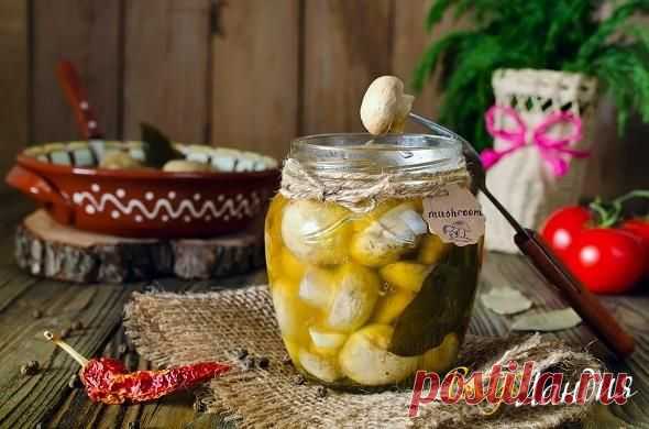 Маринованные шампиньоны быстрого приготовления "Пятиминутки"