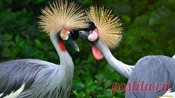 Интересные новости