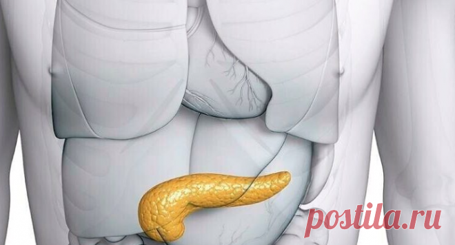 Народные средства для лечения поджелудочной железы / Будьте здоровы