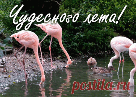 Классная открытка хорошего летнего дня