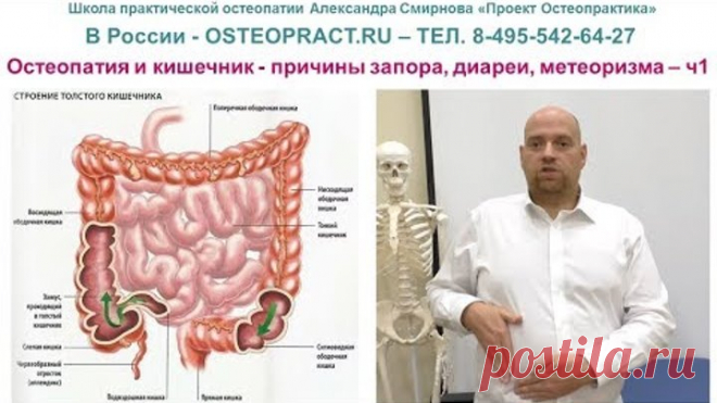 Остеопатия и кишечник - причины запора, диареи, метеоризма – ч.1
