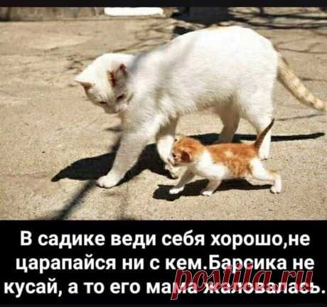 Наставления)))