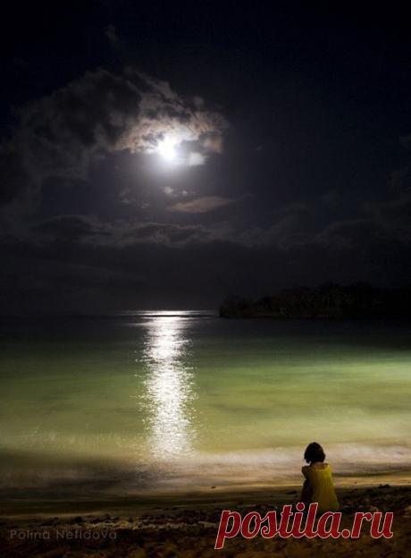 (118) scentdelanature: Moonlight by Polina Nefidova