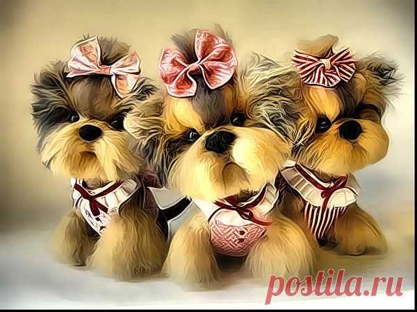 Мой Мир@Mail.Ru