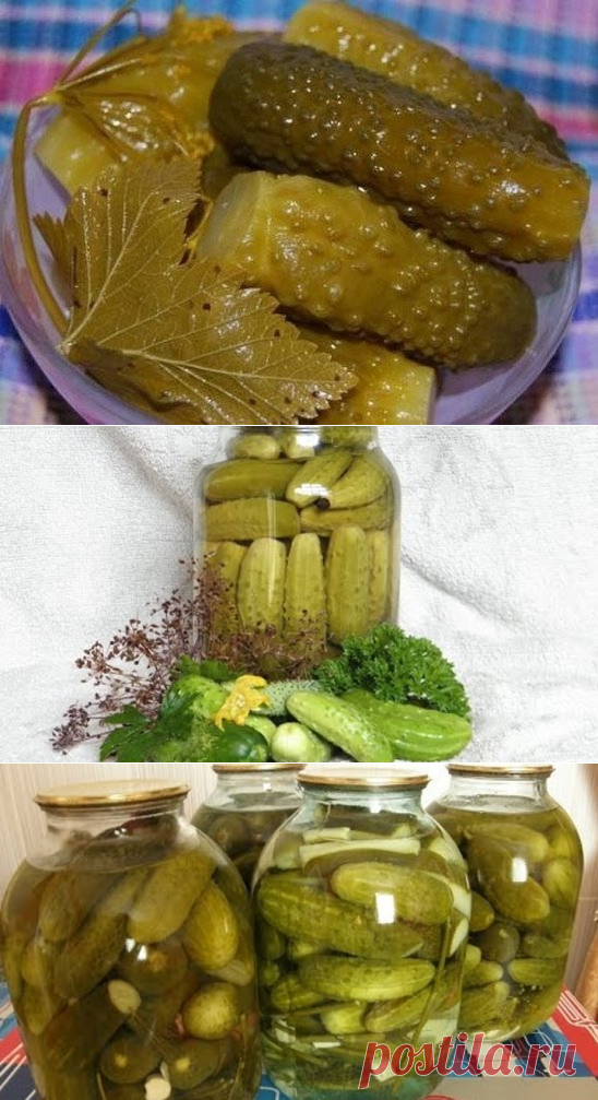 (40) Одноклассники