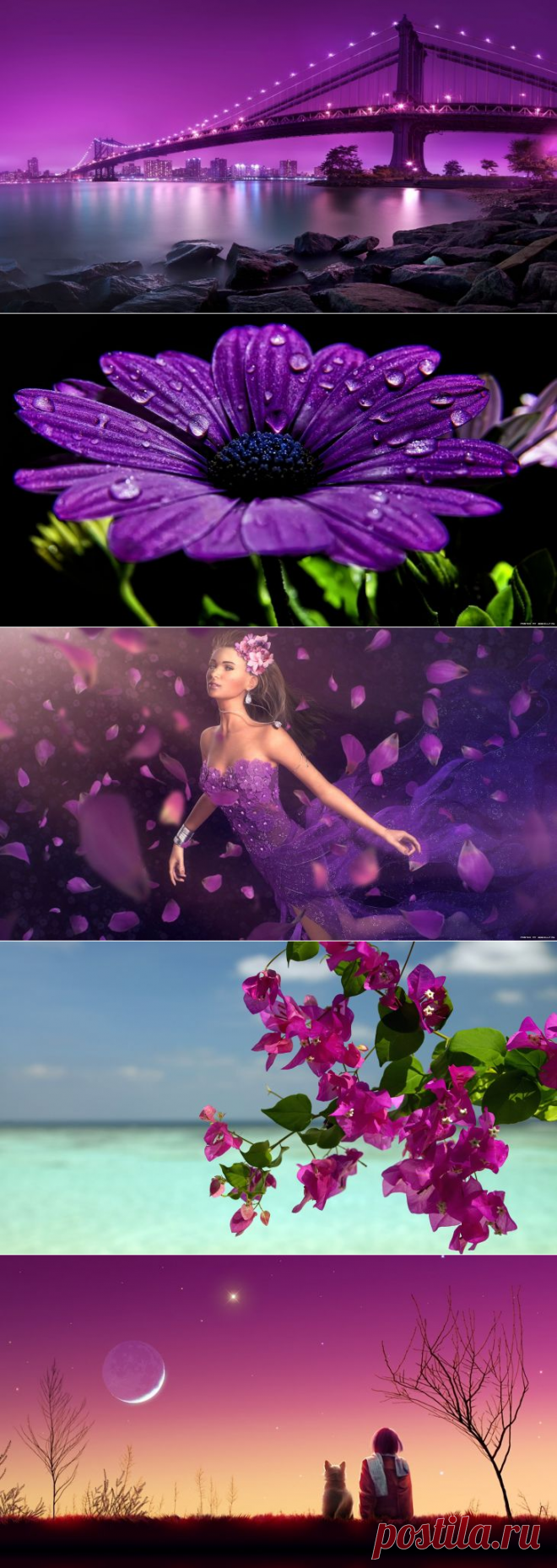 Красивые картинки на рабочий стол: Violet Mix:)