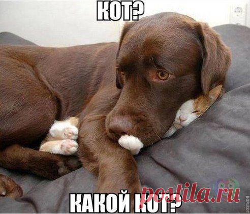 (99) Одноклассники