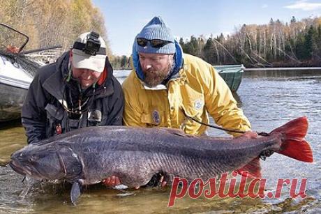 Один из богатейших людей России поставил мировой рекорд по рыбной ловле. Российскому рыболову Илье Щербовичу удалось поставить еще один мировой рекорд. В октябре 2021 года он поймал тайменя весом 52,39 килограмма. Это произошло на реке Тугур в Хабаровском крае. Чтобы справиться с рыбой, ему потребовалось 25 минут. Взвесив и задокументировав свой улов, он отпустил тайменя обратно в реку.