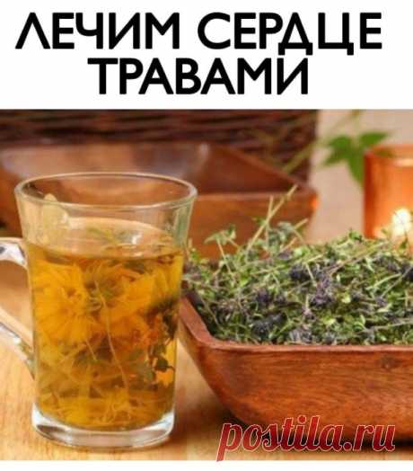 ЛЕЧИМ СЕРДЦЕ ТРАВАМИ 
 
При гипертонии 
 
- 2 раза в день съедайте по 1 ч.л. измельченных семян укропа. Забудете о проблемах с давлением. 
 
При атеросклерозе 
 
- 1 стол.лож. измельченных корней одуванчика залить стаканом кипятка, процедить. Принимать по 1/4 стакана 3-4 раза в день за 30 минут до еды. 
 
При сердечной недостаточности 
 
- 1 ч.л. травы желтушника залить 0,5 стакана кипятка, настаивать 2 часа. Принимать по 1 ст.лож. настоя 3 раза в день в течение 20 дней. 
...