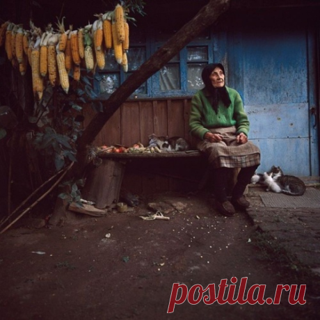 Domaho.ru - Все о доме