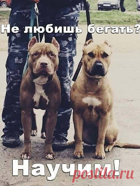 поверь....научим.