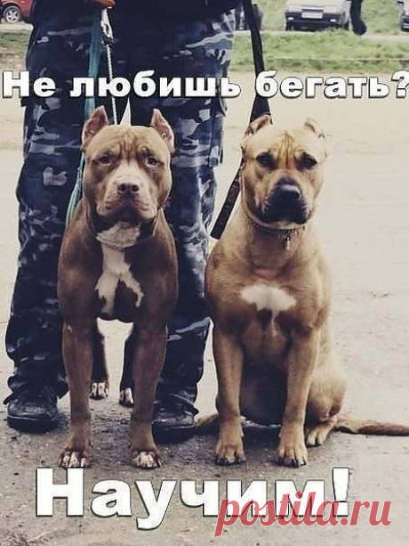 поверь....научим.