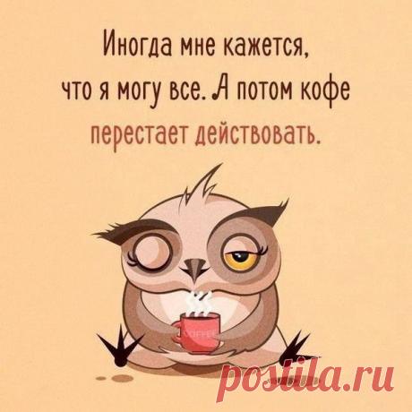 Я всё могу