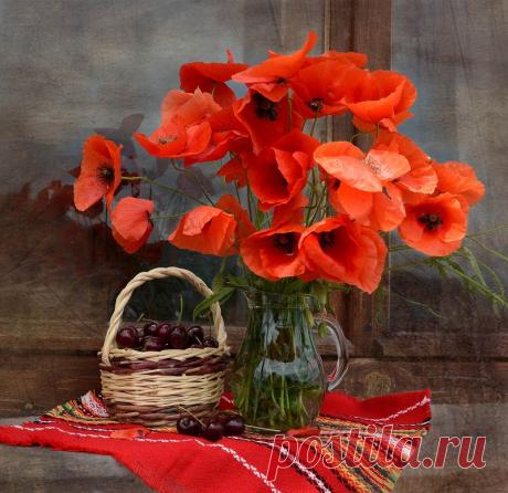 Яндекс.Фотки